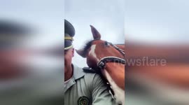 Colombia: Police Horse Steals Spotlight With Perfect Selfie Pose