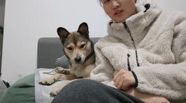 Dog reacts humorously to owner’s kiss in Hubei, China