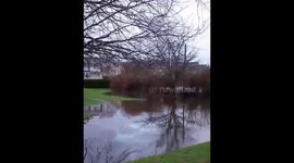 River Bovey overflows during Storm Chandra in Bovey Tracey, Devon, UK