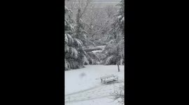 Spain: Storm Kristin Brings Snow to Madrid Causing Traffic Disruptions 7