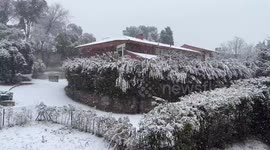 Spain: Storm Kristin Brings Snow to Madrid Causing Traffic Disruptions 9