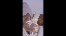 When the Sleep Monster Hits and You Just Can’t Fight Back