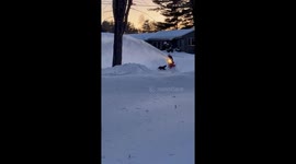 Black Lab Taking on the Snowblower