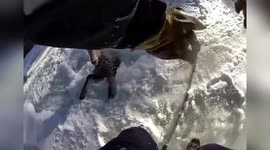 US: Epic Rescue Saves Bighorn Sheep From Icy Taylor River Near Gunnison