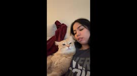 Catching Up With My Conversational Cat