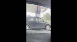 Dog in the Driver's Seat