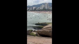 Dog Living His Best Life At Ipanema Beach