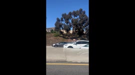 Guy on Car Roof in LA Traffic
