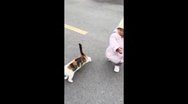 Cat mimics child after playful tumble during outdoor fun in Jiangxi, China