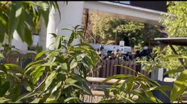 Japan: Tokyo’s Beloved Panda Twins Depart for China Amid Fan Farewell