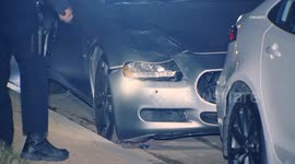 US, Los Angeles: Sherman Oaks Man And Dog Fatally Struck Possible Suspect Vehicle Located Part 2