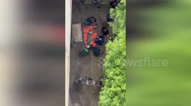 Mountain lion caught in residential area of San Francisco