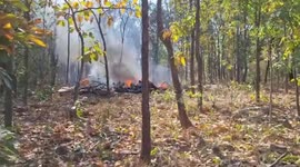 Fighter plane crashes in woods killing pilot and gun operator in Thailand