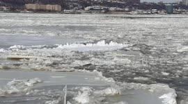 US: Ice Floes Cover NYC Rivers After Snowstorm 3