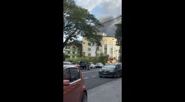 Grandmother, 89, dies alongside dozens of pet cats and dogs in house fire in Malaysia