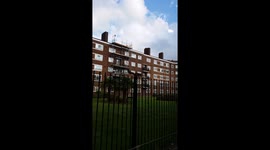 Squirrel makes strange sounds and shows off, possibly to impress female