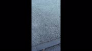 temp