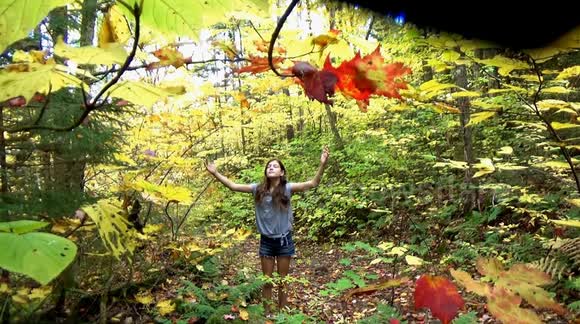 Beautiful slow-motion Autumn leaves falling