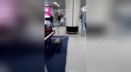 Newsflare Edit - Matthew Lee plays the piano at the Roma Fiumicino Airport !!!