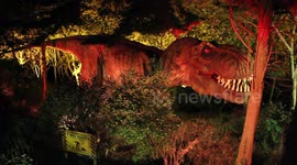 Blackgang's Illuminations Return on the Isle Of Wight , Uk  with full size Dinosaurs its brilliant and worth a visit 