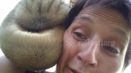 Giraffe video bombs woman during road trip