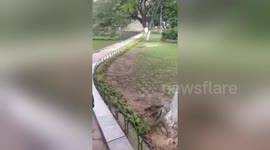 Newsflare Edit - Girl falls into a lake