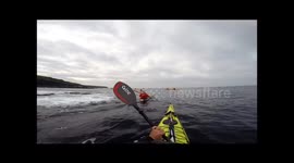 Copy of Rescue at Innishmurray