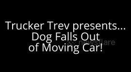 Dog falls out of moving car!