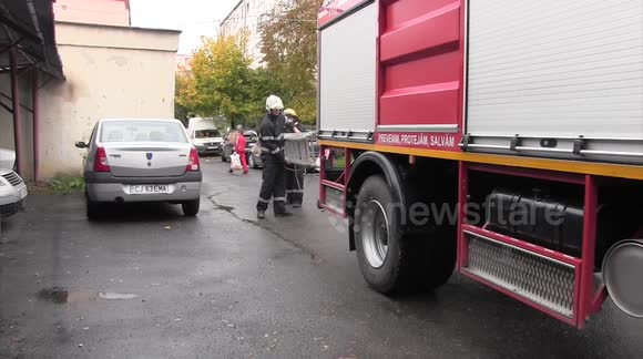Cat rescued from tree by firefighters