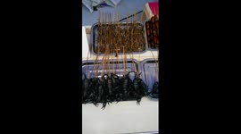 Disgusting food from China: centipede, scorpion, lizard, spider...
