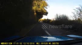 Near miss Mini Adventure