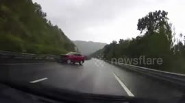 Pig on the loose causes car crash on Chinese motorway