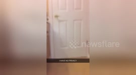 Newsflare Edit - Hilarious Toddler Doesn't Understand the Meaning of Privacy