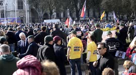 ‘Sea of Green'. For Marine A, 