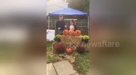 Newsflare Edit - Gender reveal for TRIPLETS! Our trio