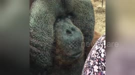 Newsflare Edit - This just happened. So incredible! https://t.co/Sixxt1CPzp