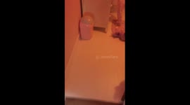 Esmé and Bibi covered in talc