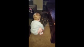 A Toddler and her Pitbull!
