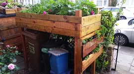 How to build a planter FOR FREE to hide your ugly bins