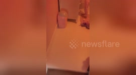 Mum leaves kids alone with talc for five minutes, bad move