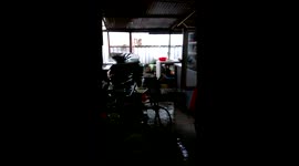 Stir fry lunch done expertly