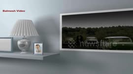 Sheep Hold Up Traffic on Busy Trunk Road