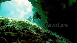 Cave Diving - Zacil Ha - Tulum, Mexico