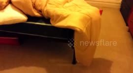 Copy of Let me make the bedddd Azzieee