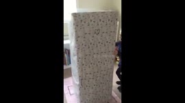 Dad in a Box Surprise