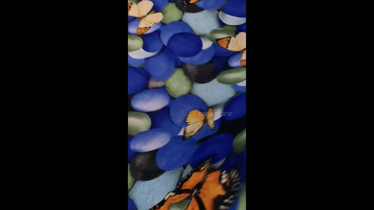 text