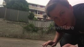 DAY 6 (run over by a car)