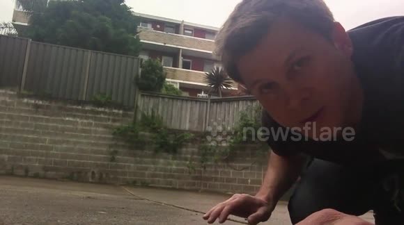 DAY 6 (run over by a car)