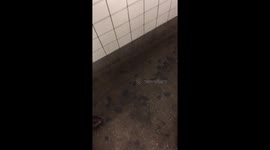 Subway notes give New Yorkers free 'therapy'