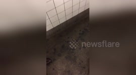 Newsflare Edit - Subway Therapy